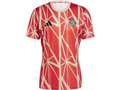 ADIDAS Herren Fantrikot FC Bayern München Pre-Match Shirt Rot