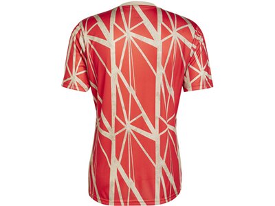 ADIDAS Herren Fantrikot FC Bayern München Pre-Match Shirt Rot