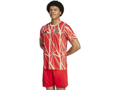 ADIDAS Herren Fantrikot FC Bayern München Pre-Match Shirt Rot