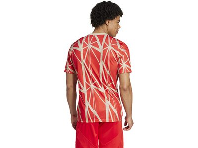 ADIDAS Herren Fantrikot FC Bayern München Pre-Match Shirt Rot