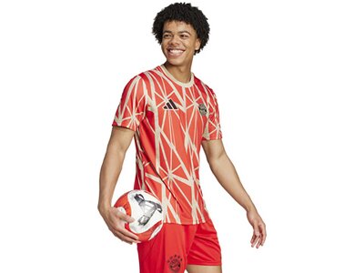 ADIDAS Herren Fantrikot FC Bayern München Pre-Match Shirt Rot
