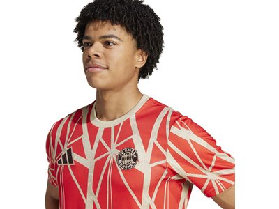 ADIDAS Herren Fantrikot FC Bayern München Pre-Match Shirt Rot