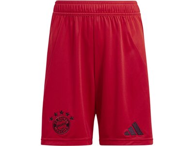 ADIDAS Kinder Teamhose FC Bayern München 24/25 Kids Heim Rot