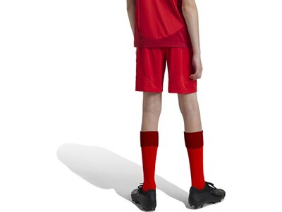 ADIDAS Kinder Teamhose FC Bayern München 24/25 Kids Heim Rot