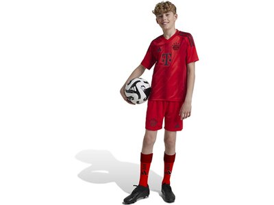 ADIDAS Kinder Teamhose FC Bayern München 24/25 Kids Heim Rot