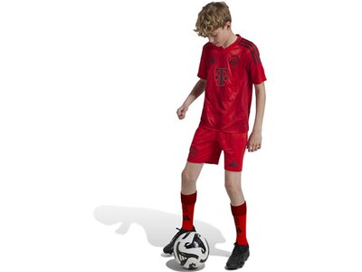 ADIDAS Kinder Teamhose FC Bayern München 24/25 Kids Heim Rot