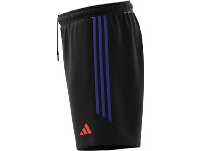 ADIDAS Herren Shorts Tiro 23 Club Schwarz
