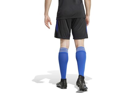 ADIDAS Herren Shorts Tiro 23 Club Schwarz