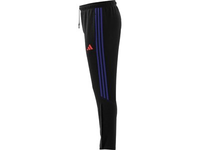 ADIDAS Herren Sporthose Tiro 23 Club Schwarz