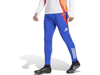 ADIDAS Herren Sporthose Tiro 24 Competition (normal & lang) Blau