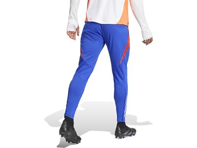 ADIDAS Herren Sporthose Tiro 24 Competition (normal & lang) Blau