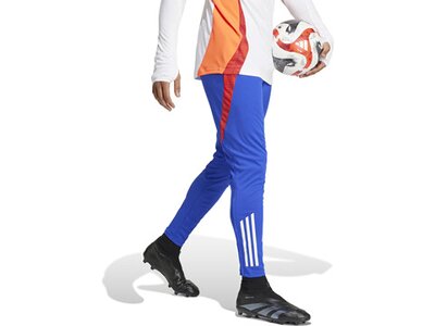 ADIDAS Herren Sporthose Tiro 24 Competition (normal & lang) Blau