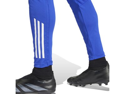ADIDAS Herren Sporthose Tiro 24 Competition (normal & lang) Blau
