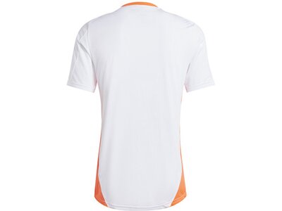 ADIDAS Herren Trikot Tiro 24 Competition (normal & lang) Weiß