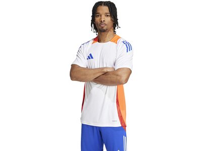 ADIDAS Herren Trikot Tiro 24 Competition (normal & lang) Weiß