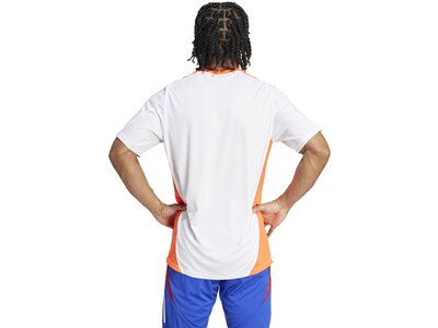 ADIDAS Herren Trikot Tiro 24 Competition (normal & lang) Weiß