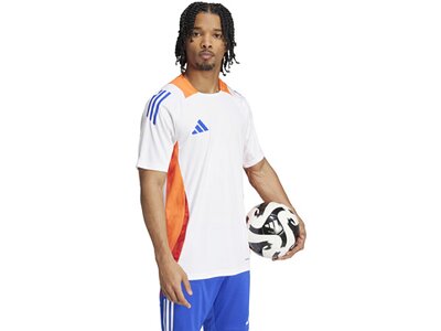 ADIDAS Herren Trikot Tiro 24 Competition (normal & lang) Weiß
