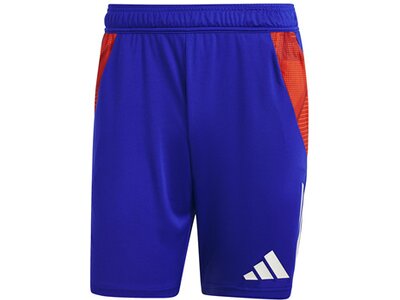 ADIDAS Herren Shorts Tiro 24 Competition (normal & lang) Blau