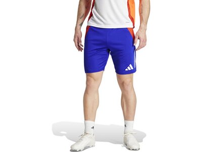 ADIDAS Herren Shorts Tiro 24 Competition (normal & lang) Blau