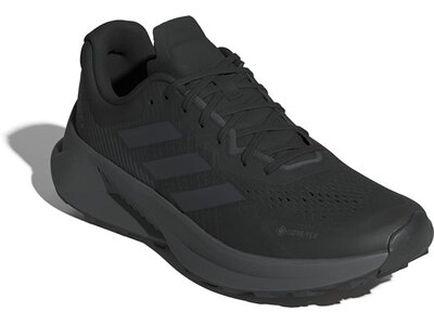 ADIDAS Herren Trailrunningschuhe Terrex Soulstride Flow Gore-Tex Grau