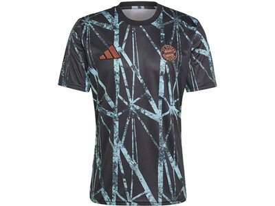 ADIDAS Herren Trikot FC Bayern München Pre-Match Shirt Grau