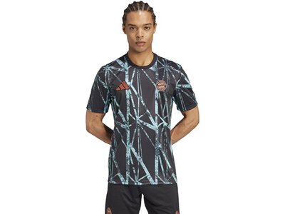 ADIDAS Herren Trikot FC Bayern München Pre-Match Shirt Grau