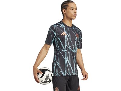 ADIDAS Herren Trikot FC Bayern München Pre-Match Shirt Grau