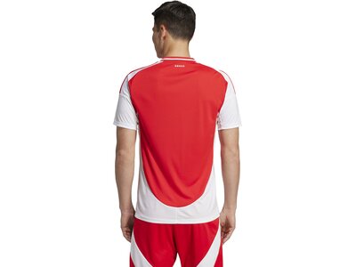 ADIDAS Herren Trikot 1. FC Union Berlin 24/25 Heimtrikot Rot