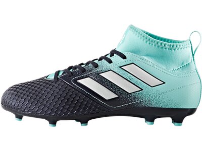 Adidas Kinder Fussballschuhe Ace 17 3 Fg Online Kaufen Bei Intersport