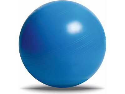 Deuser Blue Ball - Gr. L, 65 cm Blau