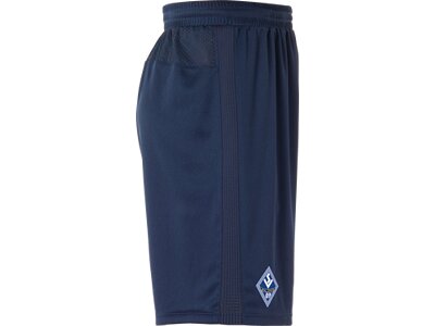 UHLSPORT Herren Shorts PERFORMANCE SHORTS Blau