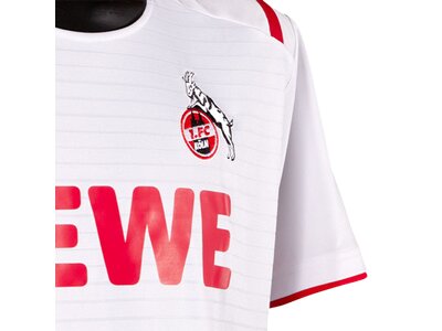 UHLSPORT Herren 1. FC KÖLN HEIMTRIKOT 19/20 KA online ...