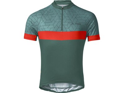 Herren Trikot Me Posta HZ Tricot Grau