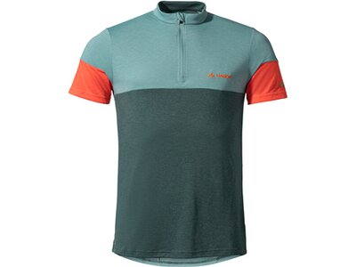 VAUDE Herren Shirt Me Altissimo Shirt II Grau