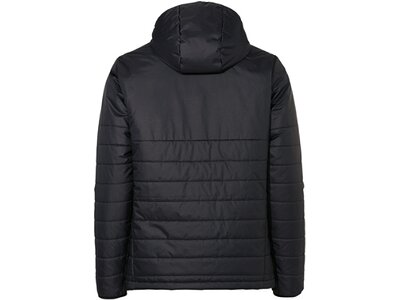 VAUDE Herren Funktionsjacke SE MenÂ´s Tesino Hooded Jacket Schwarz