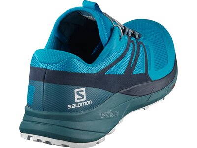 SALOMON Herren Schuhe SENSE RIDE 2 Hawaiian online kaufen ...