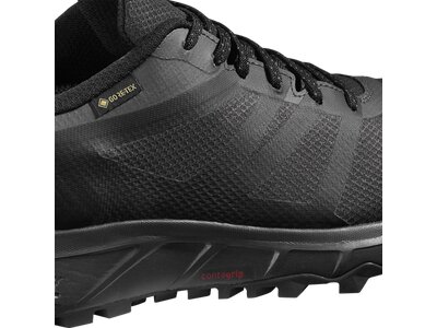 SALOMON Herren Trailrunningschuhe TRAILSTER 2 GTX Schwarz