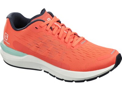 SALOMON Damen Trainingsschuhe SONIC 3 Balance Braun