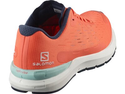 SALOMON Damen Trainingsschuhe SONIC 3 Balance Braun