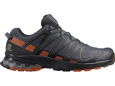 SALOMON Herren Outdoorschuhe XA PRO 3D v8 GTX Grau