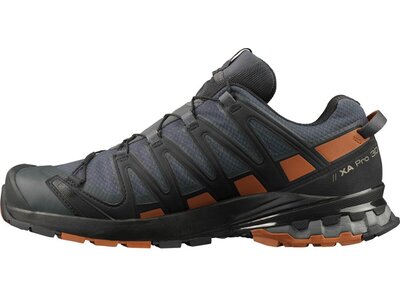 SALOMON Herren Outdoorschuhe XA PRO 3D v8 GTX Grau