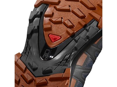 SALOMON Herren Outdoorschuhe XA PRO 3D v8 GTX Grau