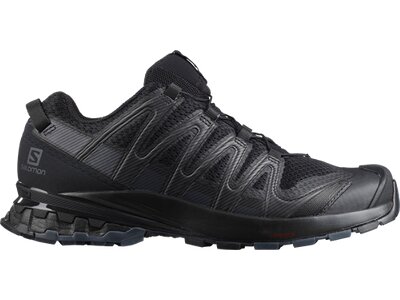 SALOMON Damen Trailrunningschuhe XA PRO 3D v8 Grau