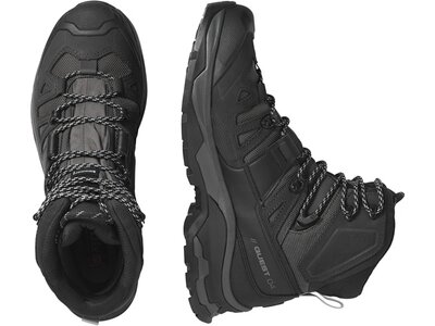 SALOMON Herren Trekkingstiefel SHOES QUEST 4 GTX Magnet/Black/Quarry Grau