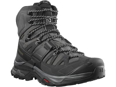 SALOMON Herren Trekkingstiefel SHOES QUEST 4 GTX Magnet/Black/Quarry Grau