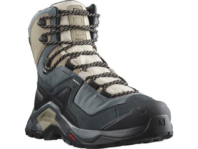 SALOMON Damen Trekkingstiefel QUEST ELEMENT GTX Grau