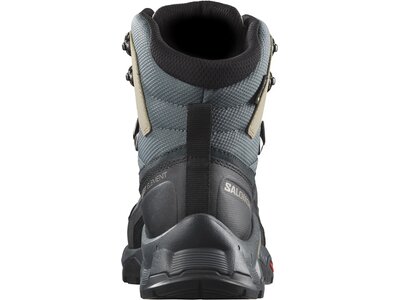 SALOMON Damen Trekkingstiefel QUEST ELEMENT GTX Grau