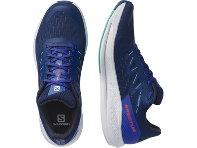 SALOMON Herren Laufschuhe SHOES SPECTUR Estate Blue/Dazzling Blue Blau