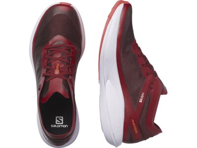 SALOMON Herren Laufschuhe SHOES PHANTASM Biking/Purple Heather/Vib Braun