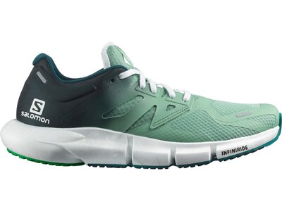 SALOMON Herren Laufschuhe SHOES PREDICT2 Granite Green/Ponder/Brgt Silber